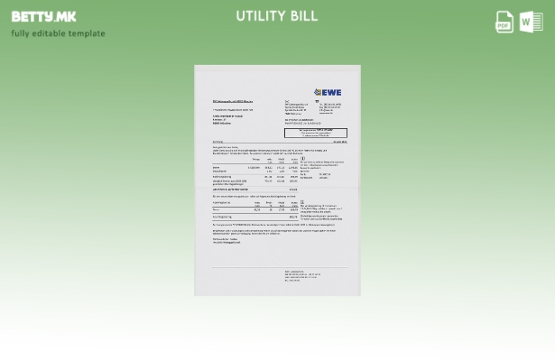 Модерен стил Германија EWE шаблон за комунални сметки