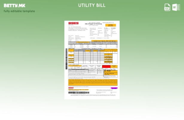 Модерен стил Индија BSES шаблон за комунални сметки за електрична енергија