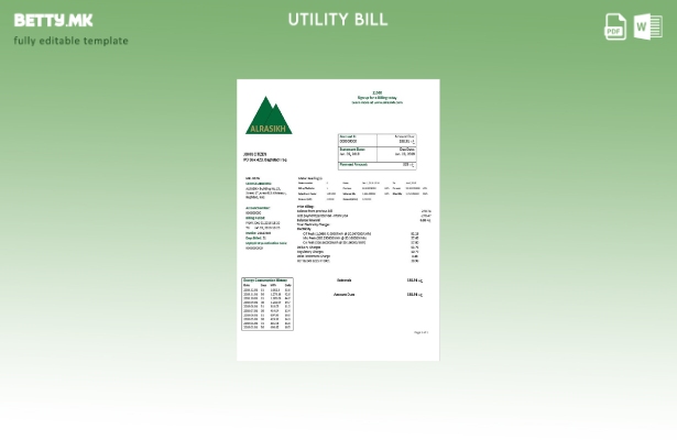Модерен стил Ирак AlRasikh шаблон сметки за електрична енергија