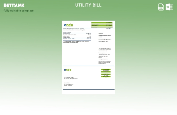Модерен стил Камерун ENEO образец за сметки за електрична енергија за комунални