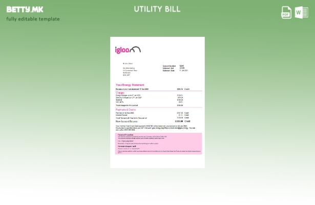 Модерен стил Обединетото Кралство Igloo Energy шаблон за комунални сметки