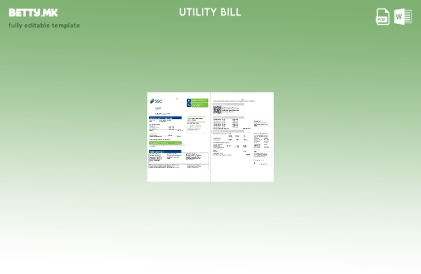 Модерен стил Обединетото Кралство SSE Energy шаблон страници за сметки за комуна