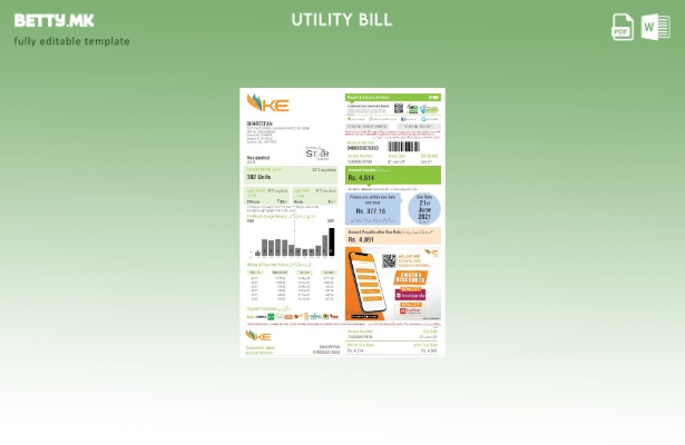 Модерен стил Пакистан К електричен шаблон за комунални сметки