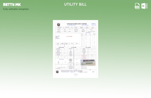 Модерен стил Пакистански Пешавар шаблон за комунални сметки за компанија за снаб