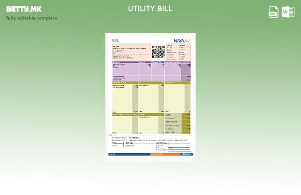Модерен стил Пакистански NAYAtel шаблон за комунални сметки