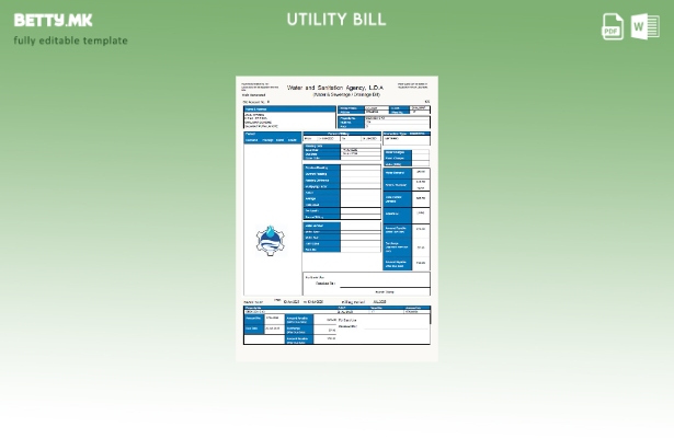 Модерен стил Пакистански WASA шаблон верзија на сметки за комунални услуги