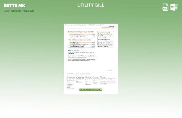 Модерен стил САД Њујорк PSEG шаблон страници за сметки за комунални услуги