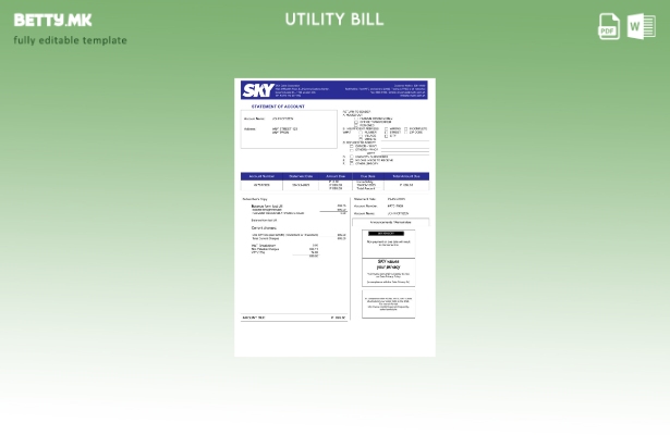 Модерен стил Шаблон за комунални сметки на Philippines Sky Cable Corporation