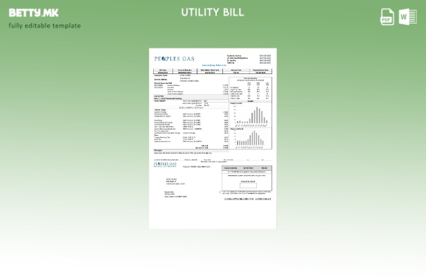 Модерен стил Шаблон за сметки за комунални услуги за гас во САД Илиноис