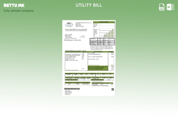 Модерен стил Шаблон за сметки за комунални услуги на САД Kansas Victory Electric