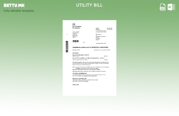 Модерен стил на Н.М. Приходи и даночни даночни кредити шаблон за комунални сметк