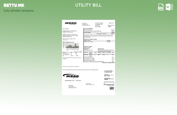 Модерен стил на САД Јужна Каролина SCE&G шаблон сметки за електрична енергија за