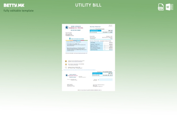 Модерен стил на САД Њу Џерси Американски шаблон за комунални сметки за вода