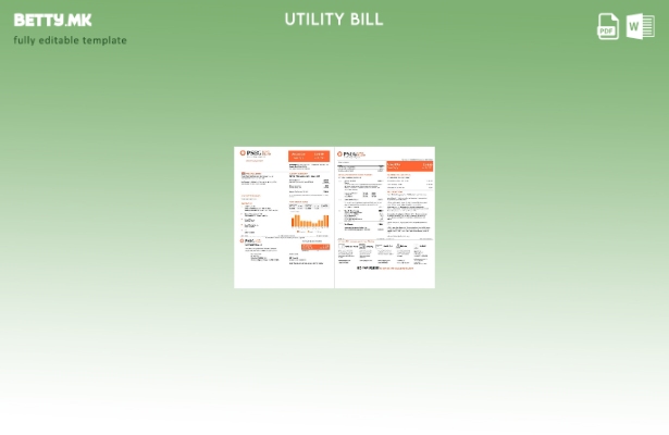 Модерен стил на САД Њу Џерси PSEG шаблон страници за сметки за електрична енерги