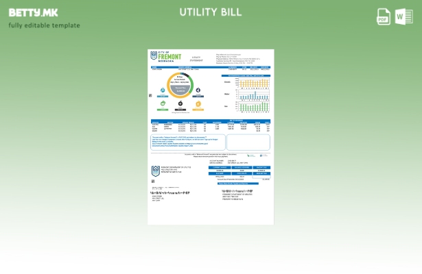 Модерен стил на САД Град Фримонт Небраска шаблон сметки за комунални услуги
