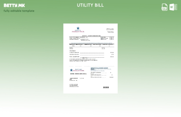 Модерен стил на САД Мериленд Џорџија Шаблон за комунални сметки за вода