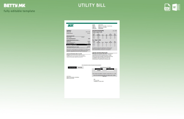 Модерен стил на САД Мериленд BGE шаблон за сметки за гас и електрична енергија