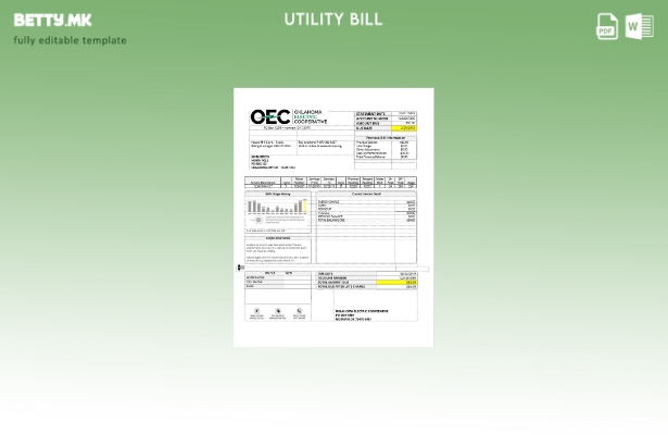 Модерен стил на САД ОЕЦ шаблон сметки за електрична енергија