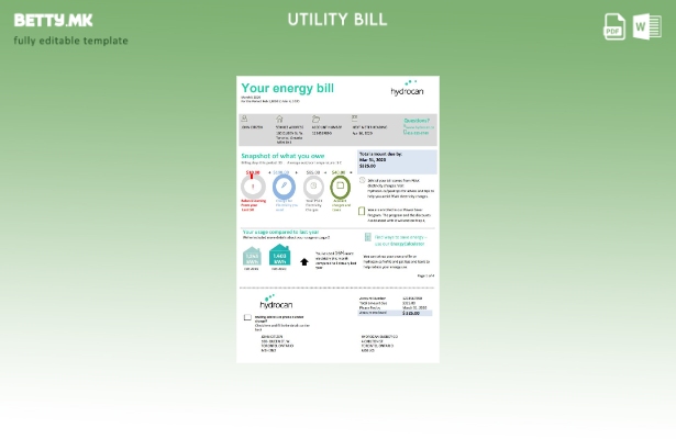 Модерен стил на САД Онтарио Hydrocan сметки за електрична енергија шаблон
