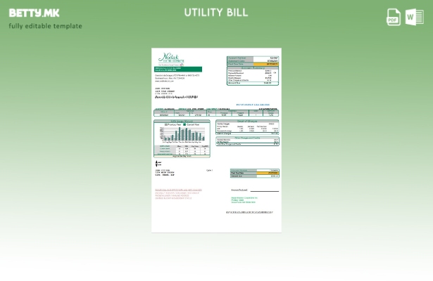 Модерен стил на САД Северна Дакота Нодак Електрична Кооператива шаблон сметки за