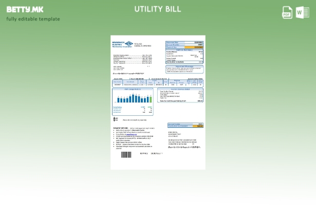 Модерен стил на САД Северна Каролина Бранзвик Електрични сметки за комунални усл