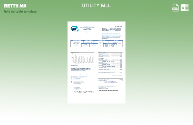 Модерен стил на САД Флорида FGUA шаблон сметки за комунални услуги