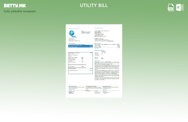 Модерен стил на САД Флорида FPL шаблон верзија на сметки за електрична енергија