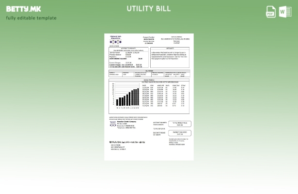 Модерен стил на САД хавајски образец за комунални сметки за електрична енергија