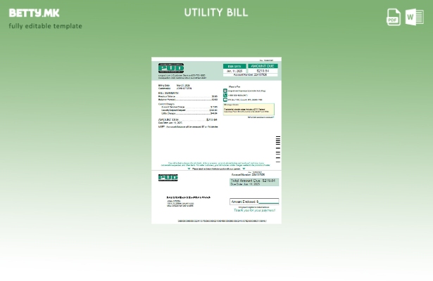 Модерен стил на САД Snohomish County PUD шаблон за комунални сметки