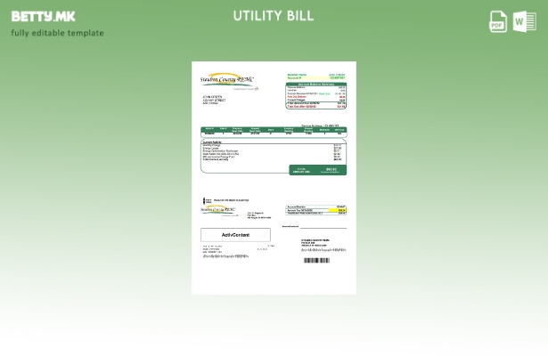 Модерен стил на САД Steuben Country REMC шаблон за комунални сметки