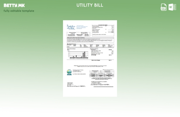 Модерен стил на USA Florida Keys шаблон за комунални сметки