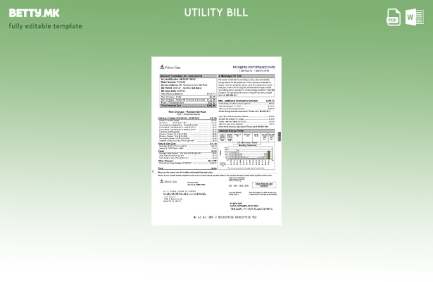 Модерен стил на USA Nicor ​​Gas шаблон за комунални сметки