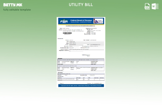 Модерен стил пакистански FBR шаблон за комунални сметки