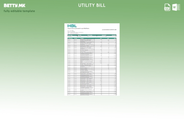 Модерен стил пакистански HBL шаблон за комунални сметки