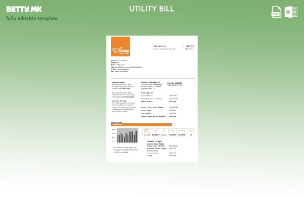 Модерен стил шаблон за збор за сметки за комунални услуги Hong Kong Energy Ltd