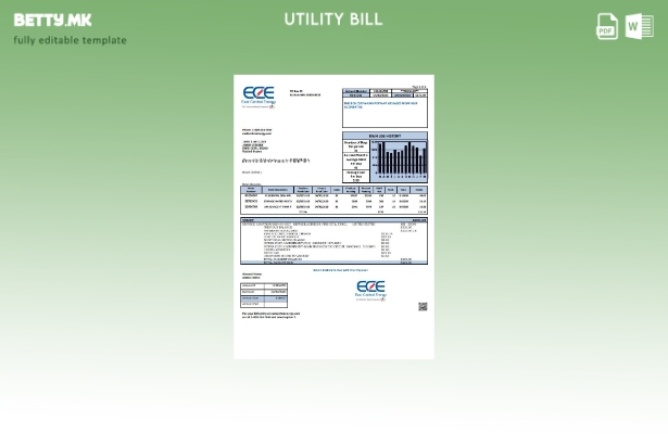 Модерен стил шаблон за комунални сметки во САД Минесота Источна централна енерги