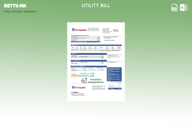 Модерен стил шаблон за комунални сметки за гас на Нов Зеланд Ер Ликвид