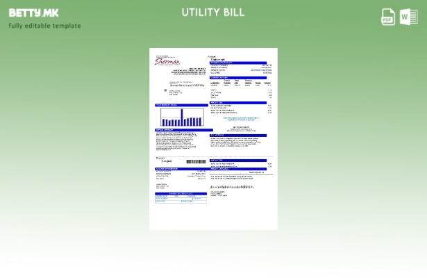 Модерен стил шаблон за комунални сметки за градот Шерман во САД