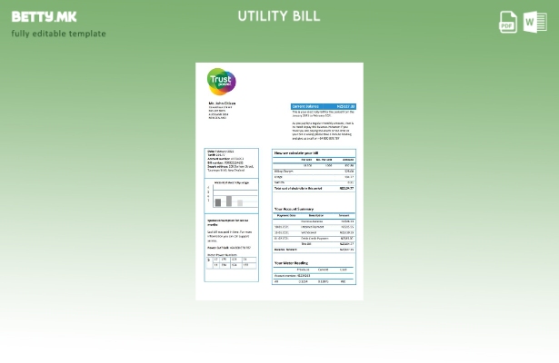 Модерен стил шаблон за комунални сметки на Нов Зеланд Trustpower