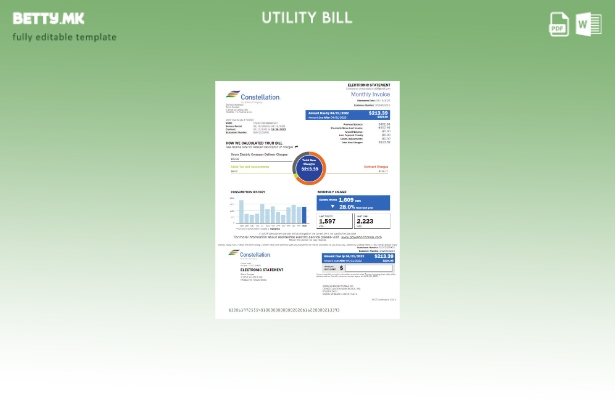 Модерен стил шаблон за комунални сметки USA Constellation