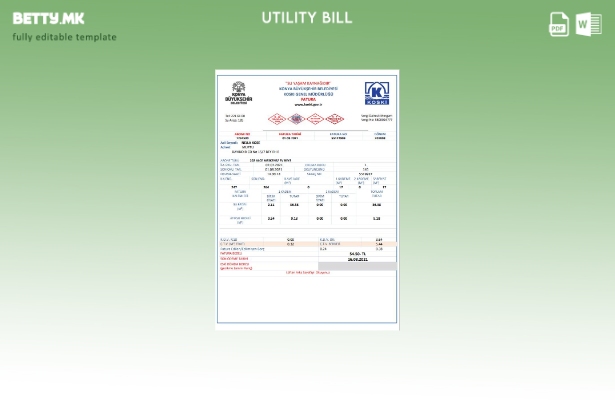 Модерен стил шаблон за сметки за вода во Турција