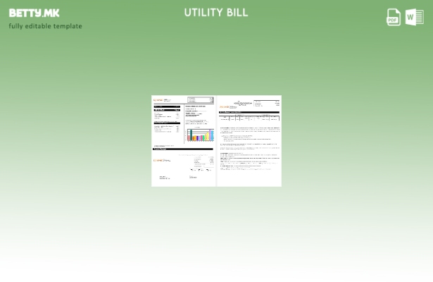 Модерен стил шаблон за сметки за електрична енергија во Њујорк Dynowatt