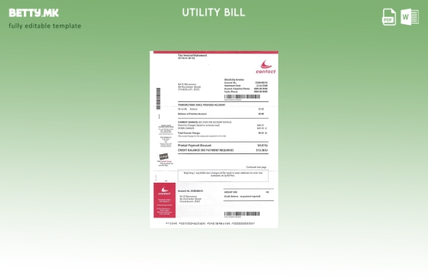 Модерен стил шаблон за сметки за електрична енергија на Нов Зеланд