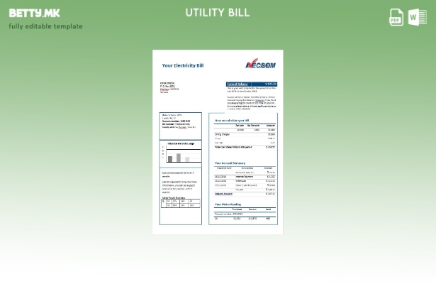Модерен стил шаблон за сметки за електрична енергија од Сомалија Неском