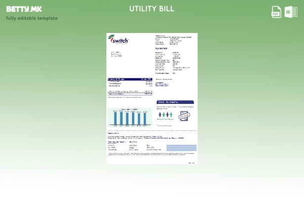 Модерен стил шаблон за сметки за енергетски услуги на Сингапур Iswitch