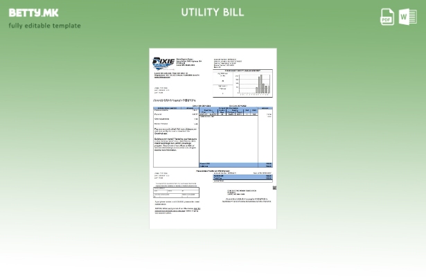 Модерен стил шаблон за сметки за комунални услуги во САД Мисисипи Дикси Електр 1