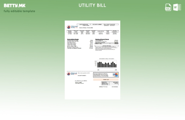 Модерен стил шаблон за сметки за комунални услуги на округот Хилсборо во САД