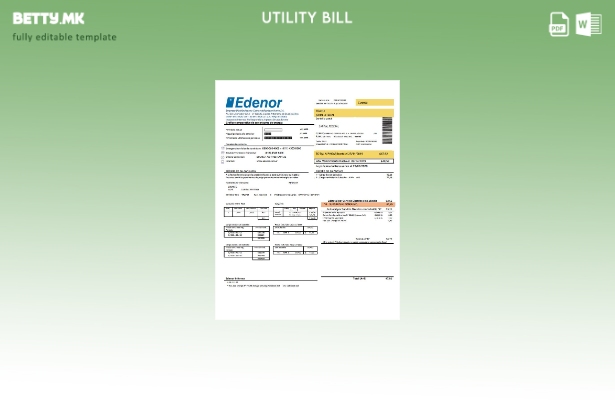 Модерен стил Argentina Edenor шаблон за комунални сметки