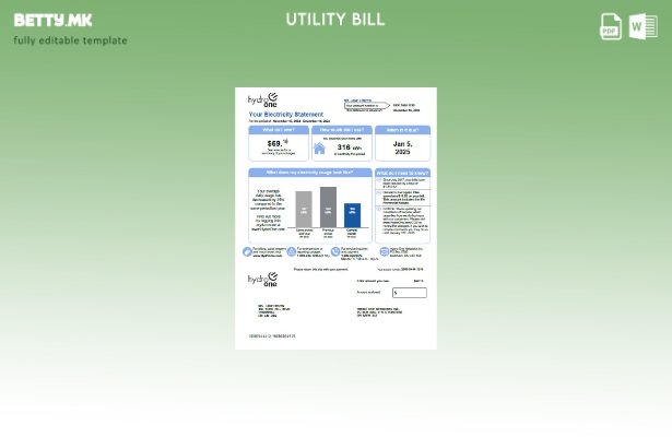 Модерен стил Canada Hydro One шаблон за верзија за комунални сметки