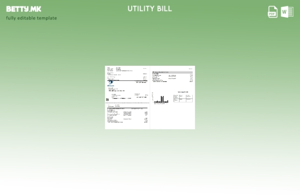 Модерен стил USA DTE енергетски сметки за комунални услуги (страници).